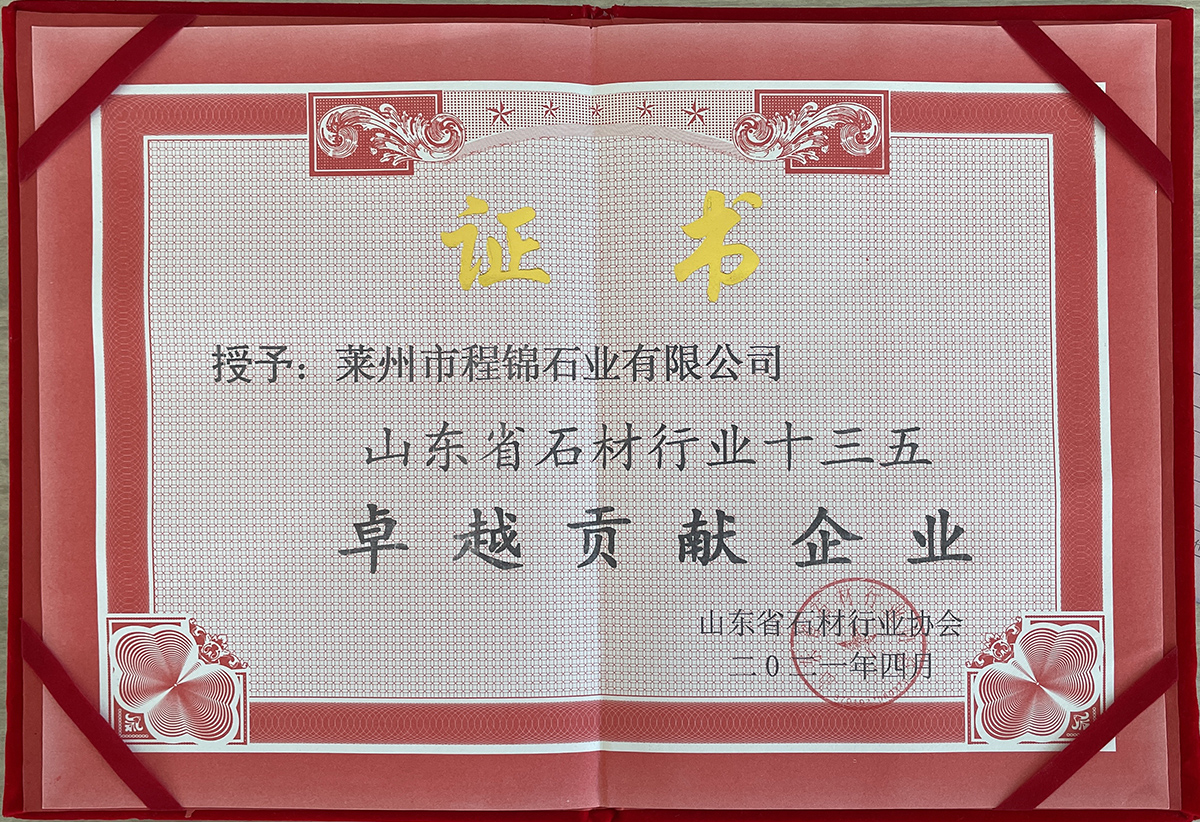 卓越貢獻(xiàn)企業(yè)